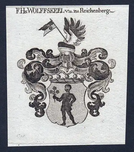 F. Hn. Wolffskeel v. u. zu Reichenberg - Wolfskeel Wolffskeel Reichenberg Wappen Adel coat of arms heraldry He