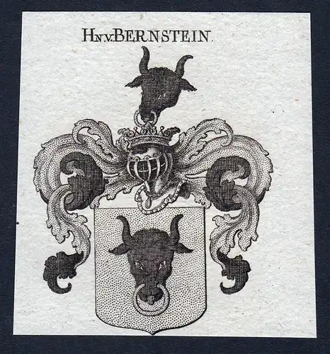 Hn. v. Bernstein - Bernstein Wappen Adel coat of arms heraldry Heraldik