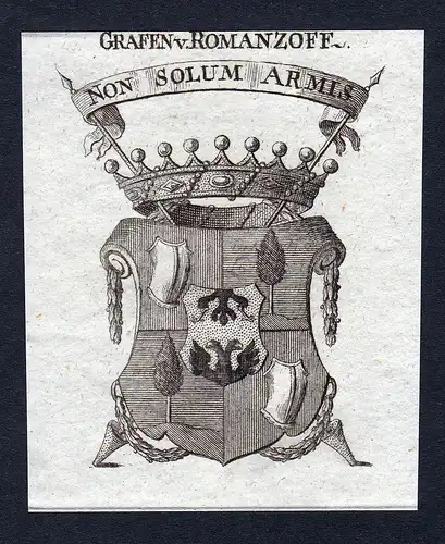 Grafen v. Romanzoff - Romanzow Romanzoff Wappen Adel coat of arms heraldry Heraldik