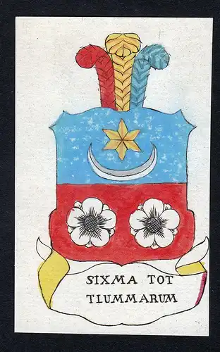 Sixma tot Tiummarum - Tzummarum Tiummarum Friesland Niederlande Wappen Adel coat of arms heraldry Heraldik