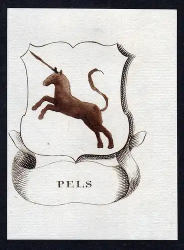 Pels - Pels Pelz Wappen Adel coat of arms heraldry Heraldik