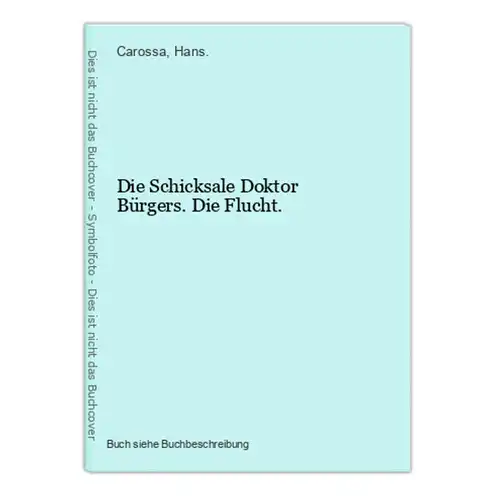 Die Schicksale Doktor Bürgers. Die Flucht.