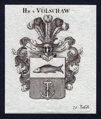 Hn. v. Völschaw - Völschaw Völschow Wappen Adel coat of arms heraldry Heraldik