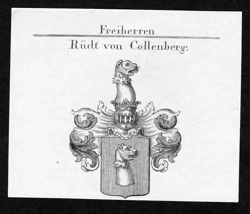 Rüdt von Collenberg - Rüdt Collenberg Franken Wappen Adel coat of arms heraldry Heraldik