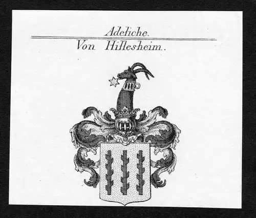 Von Hillesheim - Hillesheim Bergisches Land Wappen Adel coat of arms heraldry Heraldik