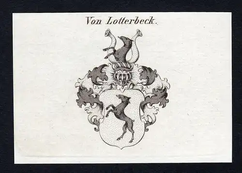 Von Lotterbeck - Lotterbeck Wappen Adel coat of arms Kupferstich  heraldry Heraldik