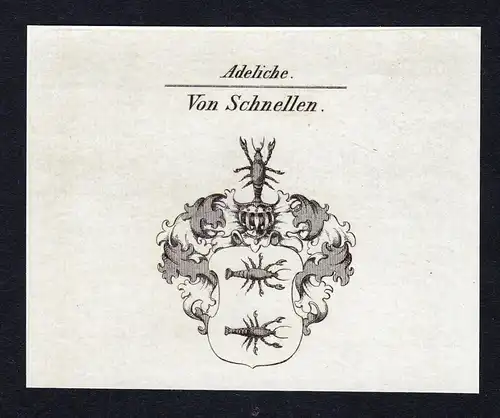 Von Schnellen - Schnellen Wappen Adel coat of arms Kupferstich  heraldry Heraldik