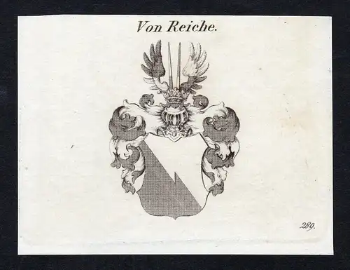 Von Reiche - Reiche Wappen Adel coat of arms Kupferstich  heraldry Heraldik