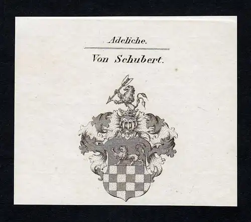 Von Schubert - Schubert Wappen Adel coat of arms Kupferstich  heraldry Heraldik