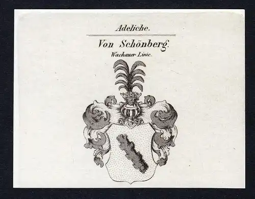 Von Schönberg - Schönberg Schoenberg Wappen Adel coat of arms Kupferstich  heraldry Heraldik
