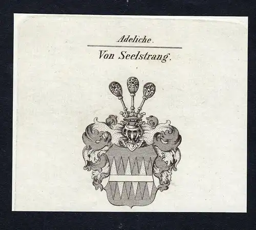 Von Seelstrang - Seelstrang Wappen Adel coat of arms Kupferstich  heraldry Heraldik