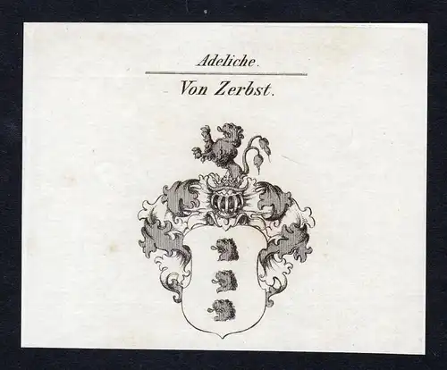 Von Zerbst - Zerbst Wappen Adel coat of arms Kupferstich  heraldry Heraldik
