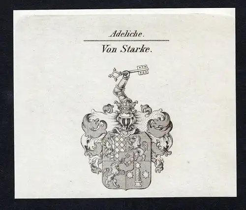 Von Starke - Starke Starcke Wappen Adel coat of arms Kupferstich  heraldry Heraldik