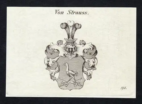 Von Strauss - Strauss Strauß Wappen Adel coat of arms Kupferstich  heraldry Heraldik