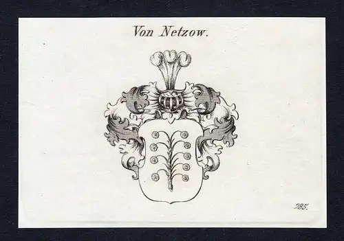 Von Netzow - Netzow Neetzow Wappen Adel coat of arms Kupferstich  heraldry Heraldik