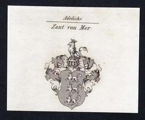 Zant von Mer - Zant von Mer Wappen Adel coat of arms Kupferstich  heraldry Heraldik