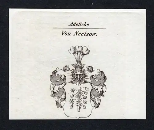 Von Neetzow - Neetzow Wappen Adel coat of arms Kupferstich  heraldry Heraldik
