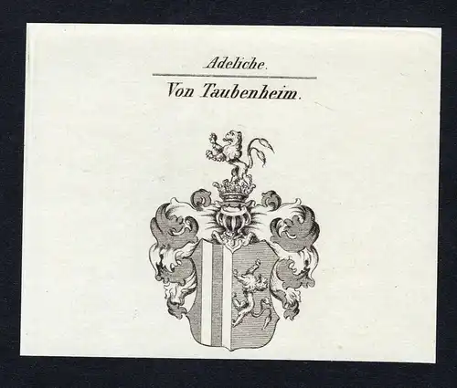 Von Taubenheim - Taubenheim Wappen Adel coat of arms Kupferstich  heraldry Heraldik