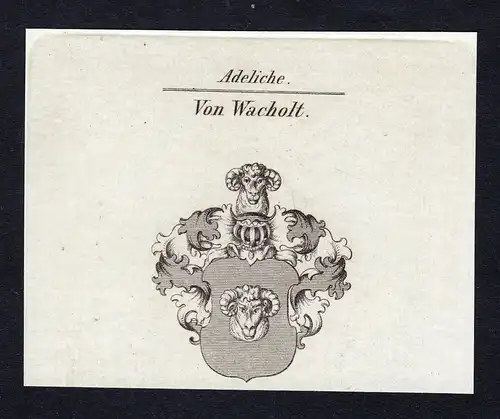 Von Wacholt - Wachholtz Wacholtz Wacholt Wacholz Wappen Adel coat of arms Kupferstich  heraldry Heraldik