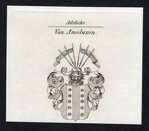 Von Ameluxen - Amelunxen Wappen Adel coat of arms Kupferstich  heraldry Heraldik