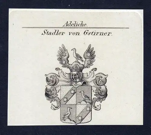 Stadler von Gstirner - Stadler von Gstirner Wappen Adel coat of arms Kupferstich  heraldry Heraldik
