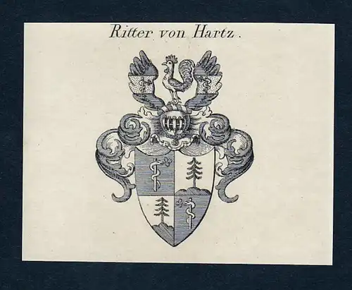 Ritter von Hartz - Hartz Wappen Adel coat of arms Kupferstich  heraldry Heraldik
