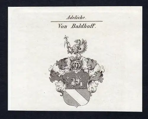 Von Baldhoff - Baldhoff Wappen Adel coat of arms Kupferstich  heraldry Heraldik