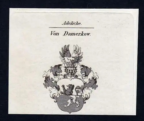 Von Damerkow - Damerkow Wappen Adel coat of arms Kupferstich  heraldry Heraldik