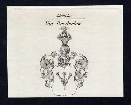 Von Brederlow - Brederlow Wappen Adel coat of arms Kupferstich  heraldry Heraldik