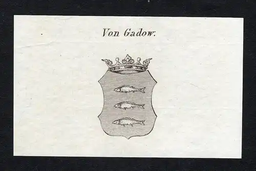 Von Gadow - Gadow Wappen Adel coat of arms Kupferstich  heraldry Heraldik