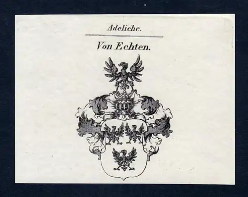 Von Echten - Echten Wappen Adel coat of arms Kupferstich  heraldry Heraldik