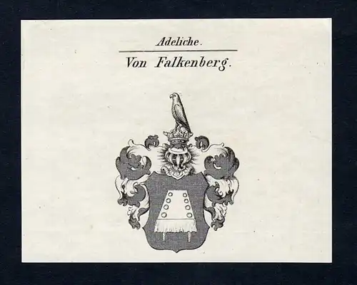 Von Falkenberg - Falkenberg Wappen Adel coat of arms Kupferstich  heraldry Heraldik