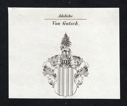Von Gotsch - Gotsch Wappen Adel coat of arms Kupferstich  heraldry Heraldik
