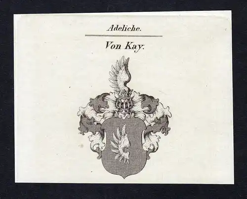 Von Kay - Kay Wappen Adel coat of arms Kupferstich  heraldry Heraldik