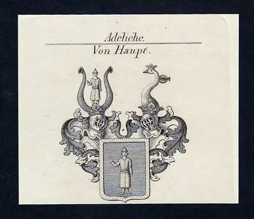 Von Haupt - Haupt Wappen Adel coat of arms Kupferstich  heraldry Heraldik