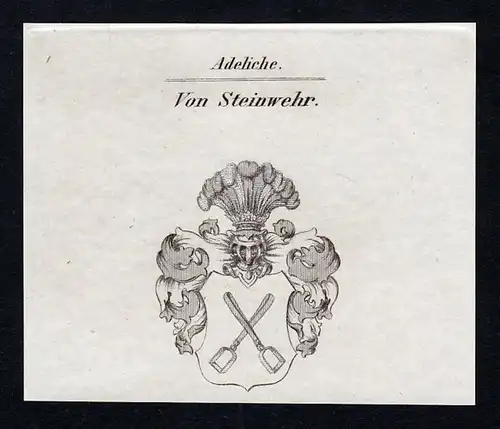 Von Steinwehr - Steinwehr Holstein Wappen Adel coat of arms heraldry Heraldik