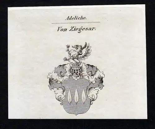 Von Ziegesar - Ziegesar Kurbrandenburg Brandenburg Wappen Adel coat of arms heraldry Heraldik