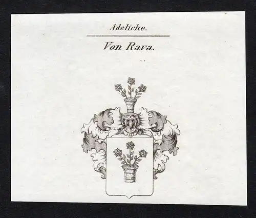 Von Rava - Rava Wappen Adel coat of arms heraldry Heraldik