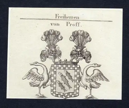 Von Proff - Irnich Proff Wappen Adel coat of arms heraldry Heraldik