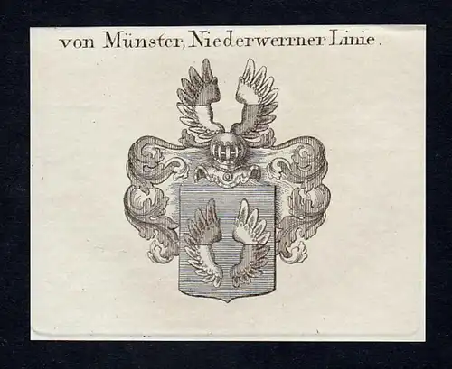 Von Münster, Niederwerrner Linie - Münster Niederwerrner Wappen Adel coat of arms heraldry Heraldik