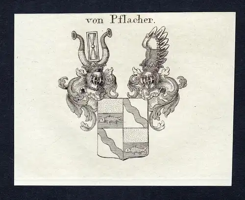 Von Pflacher - Pflacher Wappen Adel coat of arms heraldry Heraldik