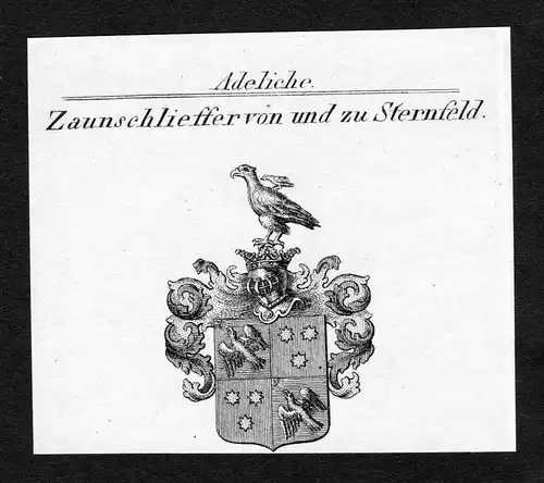 Zaunschlieffer von und zu Sternfeld - Zaunschlieffer von und zu Sternfeld Wappen Adel coat of arms Kupferstich