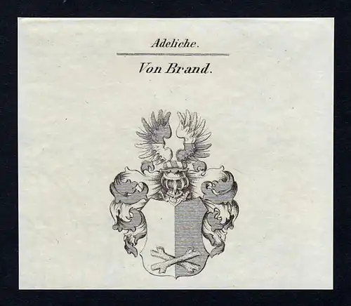Von Brand - Brand Brandt Wappen Adel coat of arms heraldry Heraldik