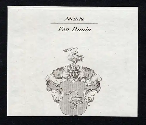 Von Dunin - Piotr Dunin von Prawkowice Wappen Adel coat of arms heraldry Heraldik