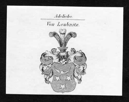 Von Leubnitz - Leubnitz Wappen Adel coat of arms Kupferstich  heraldry Heraldik