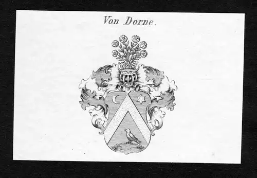Von Dorne - Dorne Wappen Adel coat of arms Kupferstich  heraldry Heraldik
