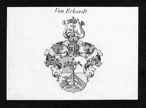 Von Eckardt - Eckardt Wappen Adel coat of arms Kupferstich  heraldry Heraldik