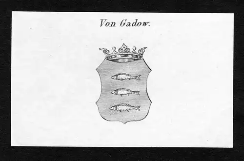 Von Gadow - Gadow Wappen Adel coat of arms Kupferstich  heraldry Heraldik