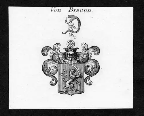 Von Braunn - Braunn Wappen Adel coat of arms Kupferstich  heraldry Heraldik