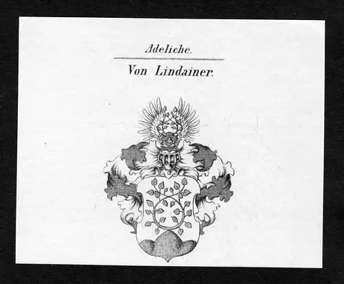 Von Lindainer - Lindainer Wappen Adel coat of arms Kupferstich  heraldry Heraldik